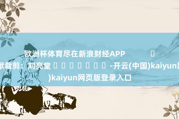 欧洲杯体育尽在新浪财经APP            						包袱裁剪：刘亮堂 							-开云(中国)kaiyun网页版登录入口