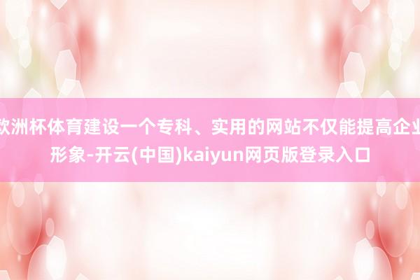 欧洲杯体育建设一个专科、实用的网站不仅能提高企业形象-开云(中国)kaiyun网页版登录入口